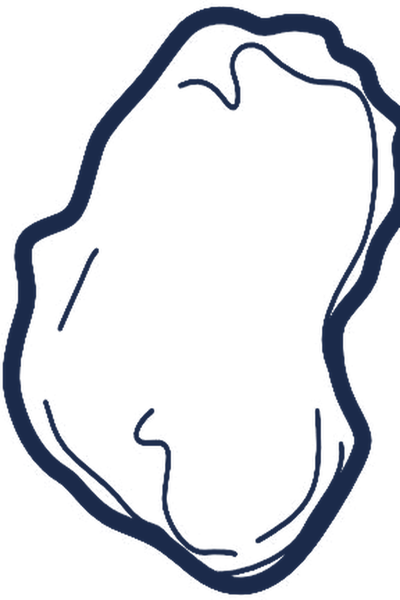 South Twin Consulting